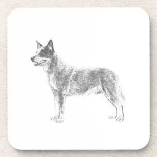Australian Cattle Dog Coaster