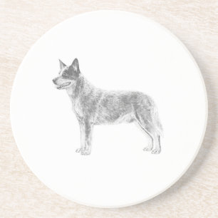 Australian Cattle Dog Coaster