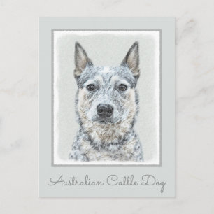 Australian Cattle Dog - Cute Original Dog Art Postcard