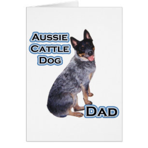 Australian Cattle Dog Dad 4