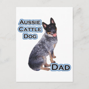 Australian Cattle Dog Dad 4 Postcard