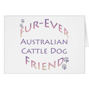 Australian Cattle Dog Furever
