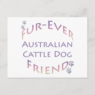 Australian Cattle Dog Furever Postcard