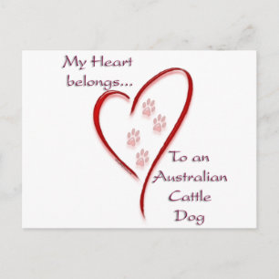 Australian Cattle Dog Heart Belongs Postcard