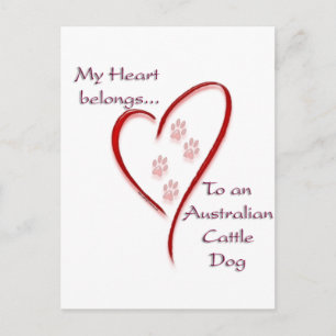 Australian Cattle Dog Heart Belongs Postcard