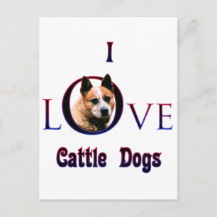Australian Cattle Dog I Love Postcard