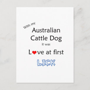 Australian Cattle Dog Lick Design Postcard