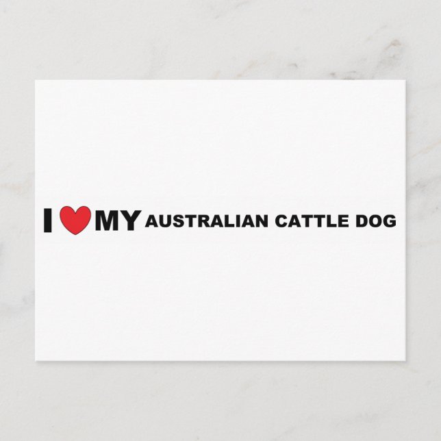 australian cattle dog love postcard (Front)