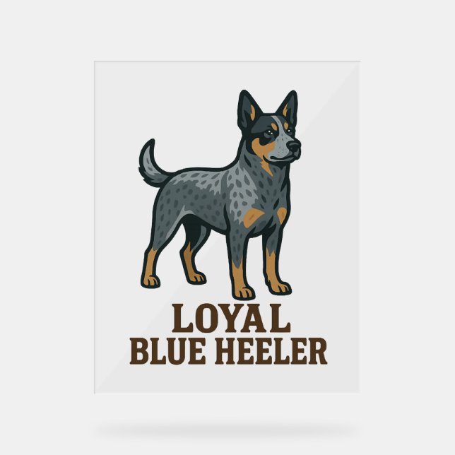 Australian Cattle Dog Loyal Blue Heeler Acrylic Sign (Front)