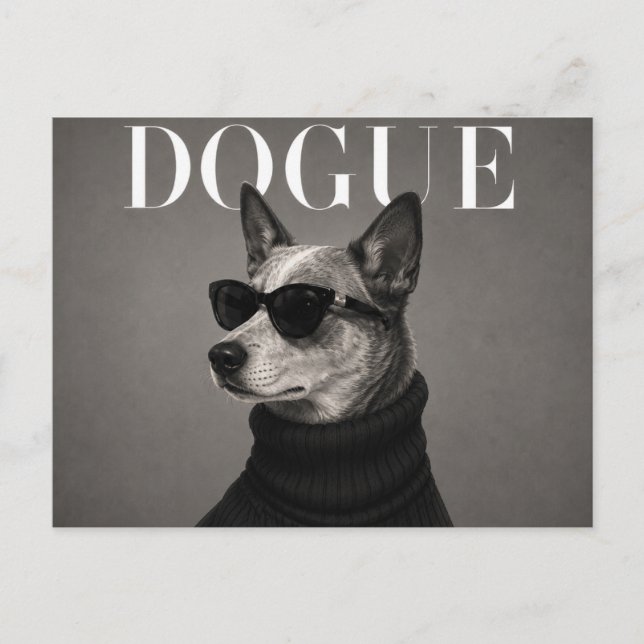 Australian Cattle Dog Luxury Editorial Postcard (Front)