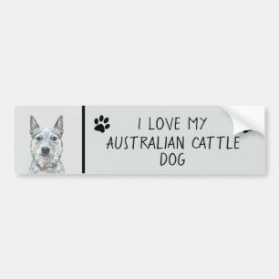 Australian Cattle Dog Painting - Cute Original Art Bumper Sticker
