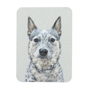 Australian Cattle Dog Painting - Cute Original Art Magnet