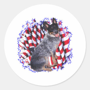 Australian Cattle Dog Patriot Classic Round Sticker