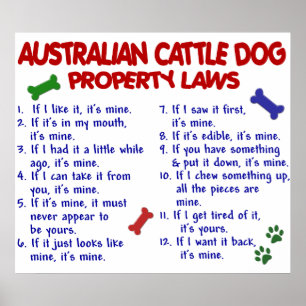 AUSTRALIAN CATTLE DOG PL2 POSTER