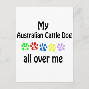 Australian Cattle Dog Postcard