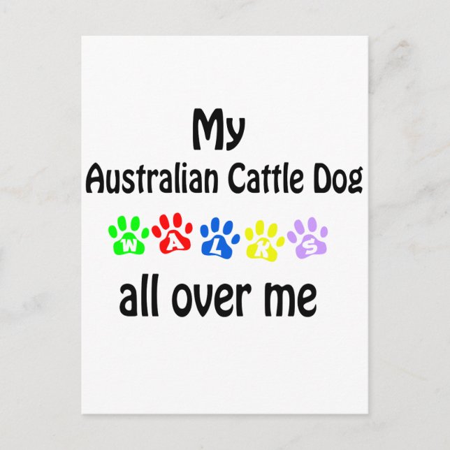 Australian Cattle Dog Postcard (Front)