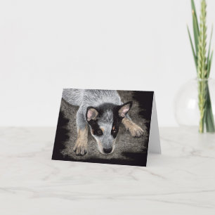 Australian Cattle Dog Pup Card - "Kona"