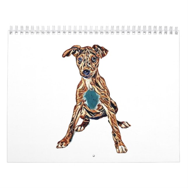Australian Cattle Dog puppy mix sitting looking in Calendar (Cover)