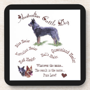 Australian Cattle Dog Pure Love Coaster