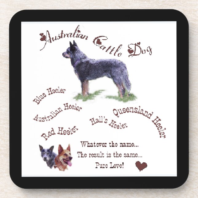 Australian Cattle Dog Pure Love Coaster (Front)