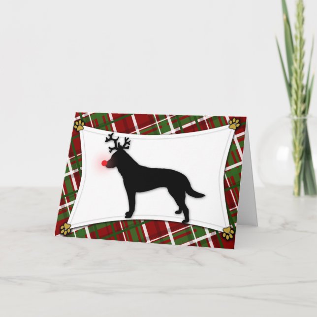 Australian Cattle Dog Reindeer Christmas Card (Front)