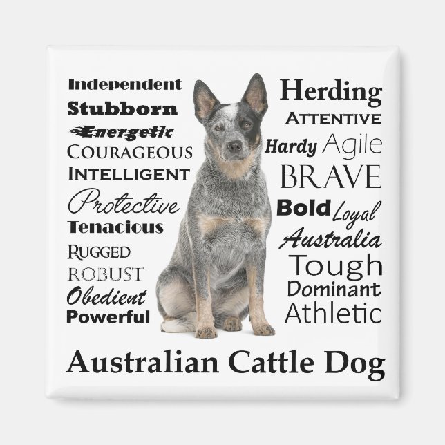 Australian Cattle Dog Traits Magnet (Front)