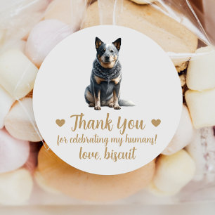 Australian Cattle Dog Wedding Favour Stickers