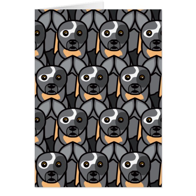 Australian Cattle Dogs (Front)