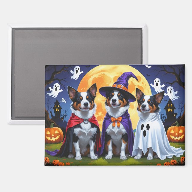 Australian Cattle Dogs Pumpkin Halloween Funny Magnet (Front/Back)