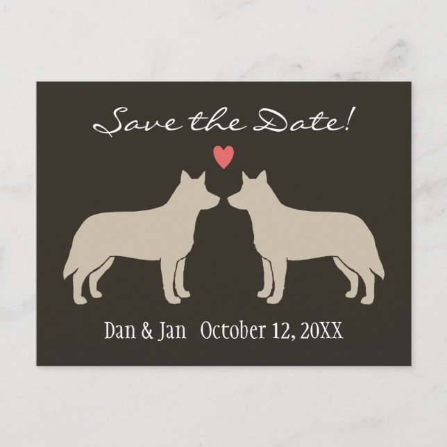 Australian Cattle Dogs Wedding Save the Date Announcement Postcard (Front)