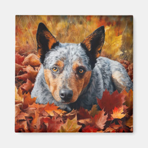 Australian Cattle  in Autumn Leaves Fall Inspire  Magnet
