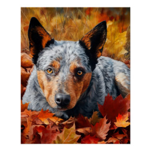 Australian Cattle  in Autumn Leaves Fall Inspire  Poster