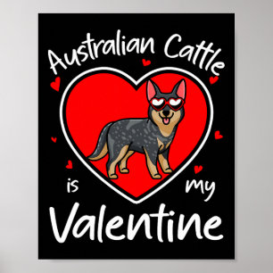 Australian Cattle Is My Valentine Heart Shape Dog Poster