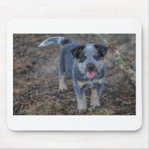 Australian Cattle Puppy Dog Mouse Pad