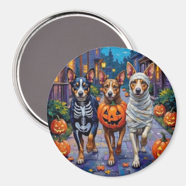 Australian Cattle Trick-or-Treating in Halloween Magnet (Front/Back)