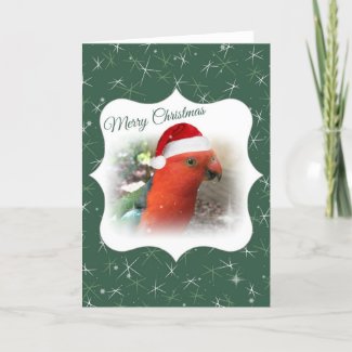 Australian Christmas Card - Native Bird - Rosella