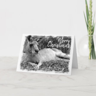 Australian Christmas Cards - Kangaroo