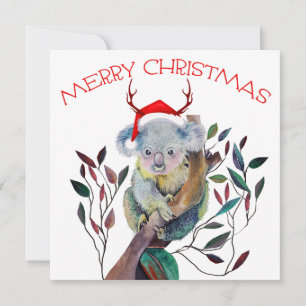Australian Christmas Koala Santa Hat Red Green Card