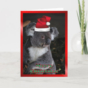 AUSTRALIAN Christmas koala xmas Christmas animals Holiday Card