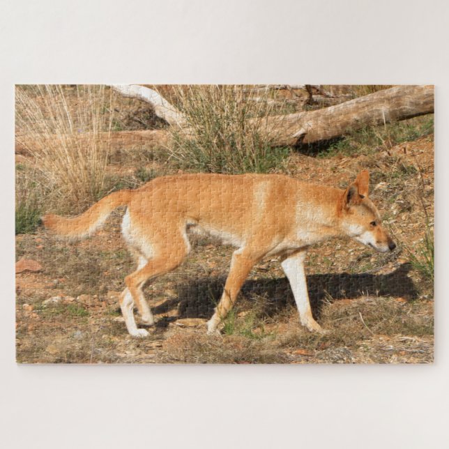 Australian dingo jigsaw puzzle (Horizontal)