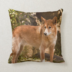 Australian dingo throw pillow