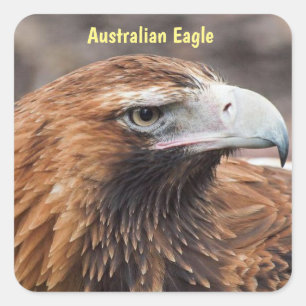 Australian Eagle Profile Square Sticker