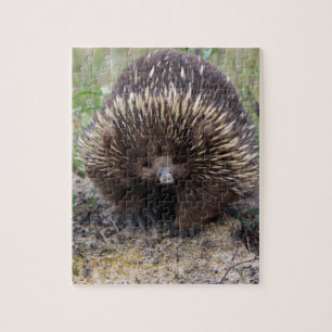 Australian Echidna Cute Animal Photo Jigsaw Puzzle