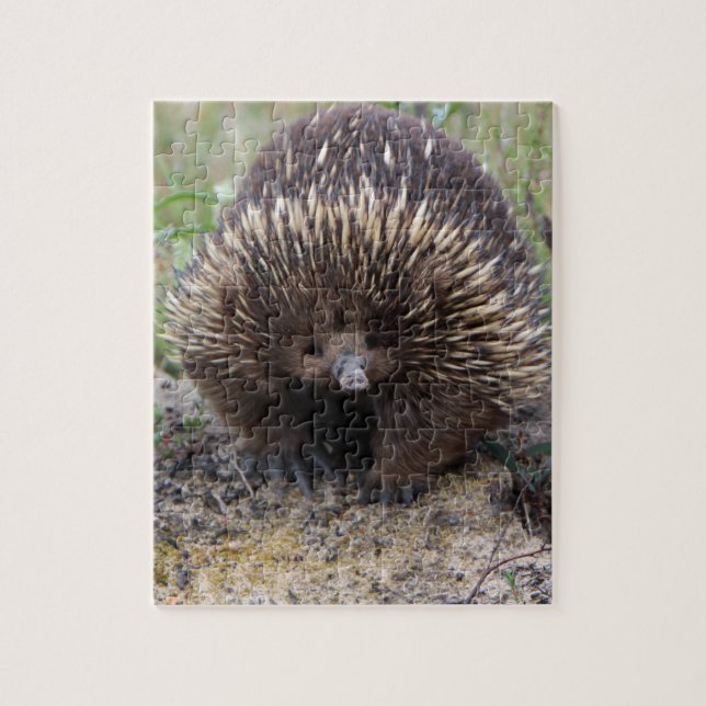 Australian Echidna Cute Animal Photo Jigsaw Puzzle (Vertical)