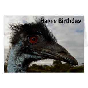 Australian Emu Close up,  Birthday Card