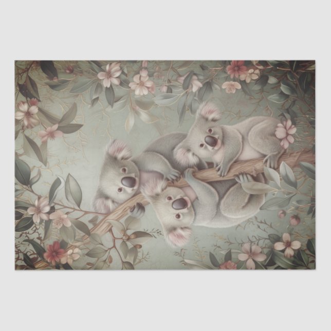 Australian Eucalyptus Koala Bear Tissue Paper (Front)