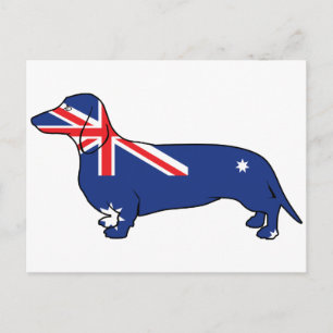 Australian Flag Dachshund Postcard