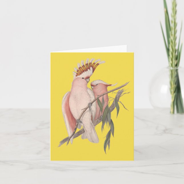 Australian Galah Card John Gould (Front)