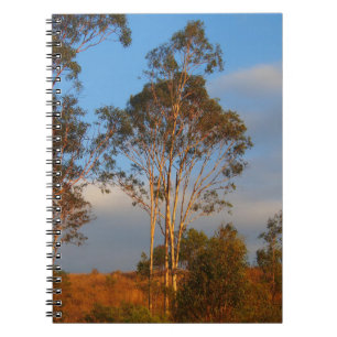 Australian gum trees notebook