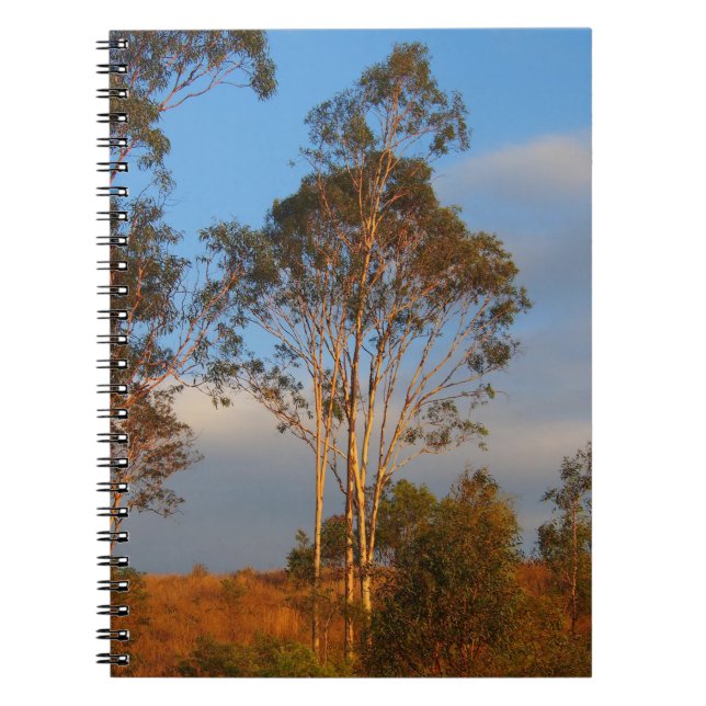 Australian gum trees notebook (Front)